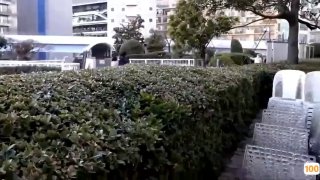 原创小桃酱